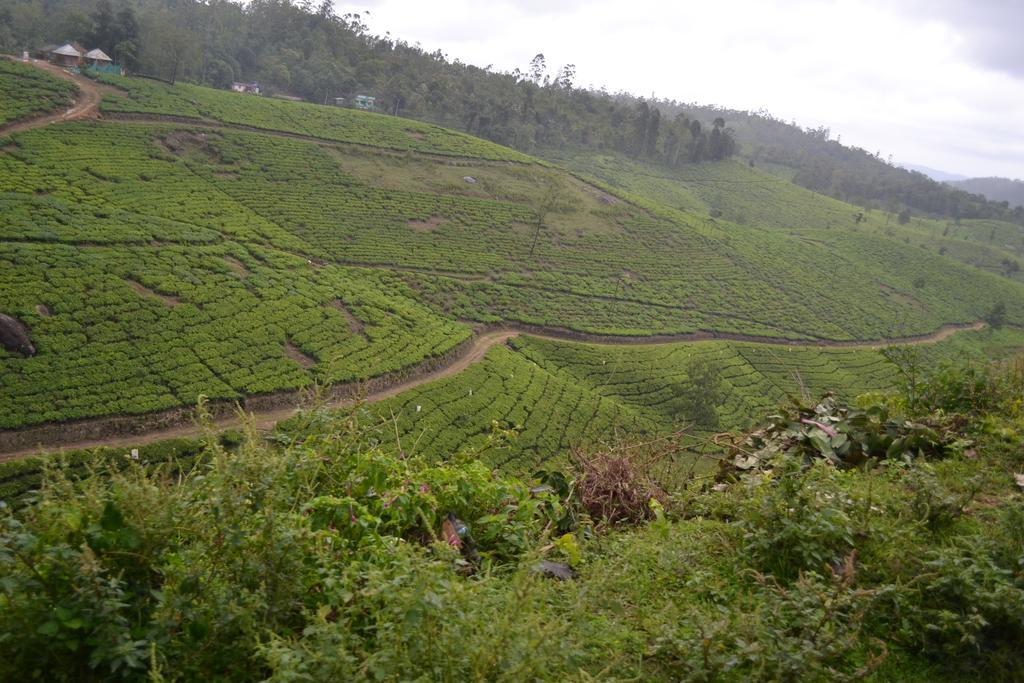 Ferndale Homestay Thekkady Exteriér fotografie