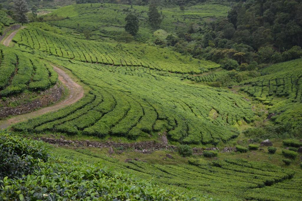 Ferndale Homestay Thekkady Exteriér fotografie