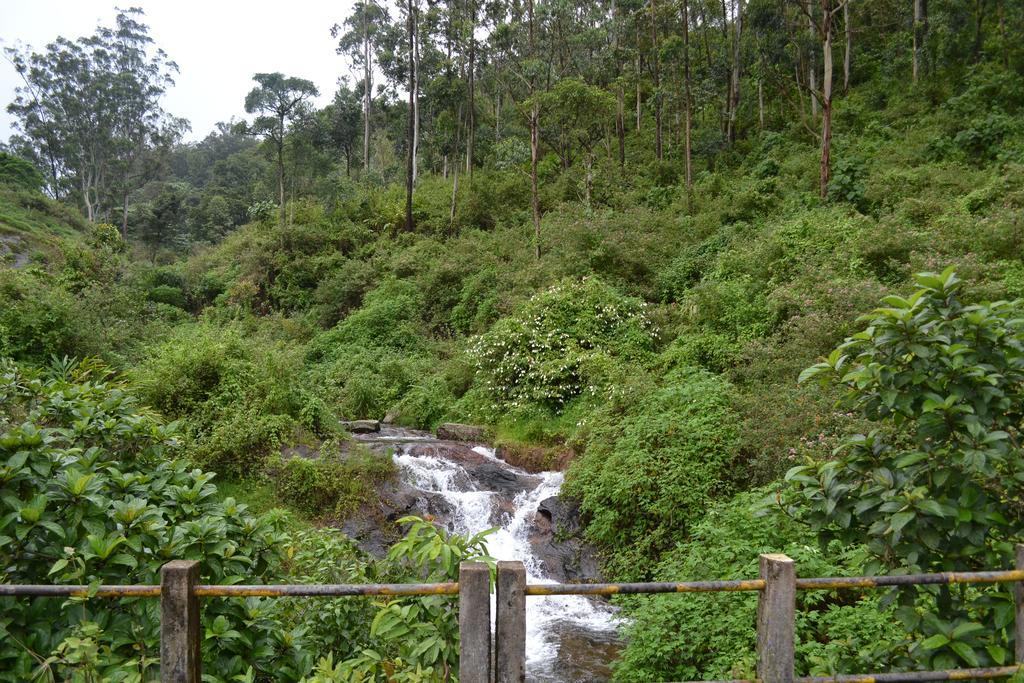 Ferndale Homestay Thekkady Exteriér fotografie