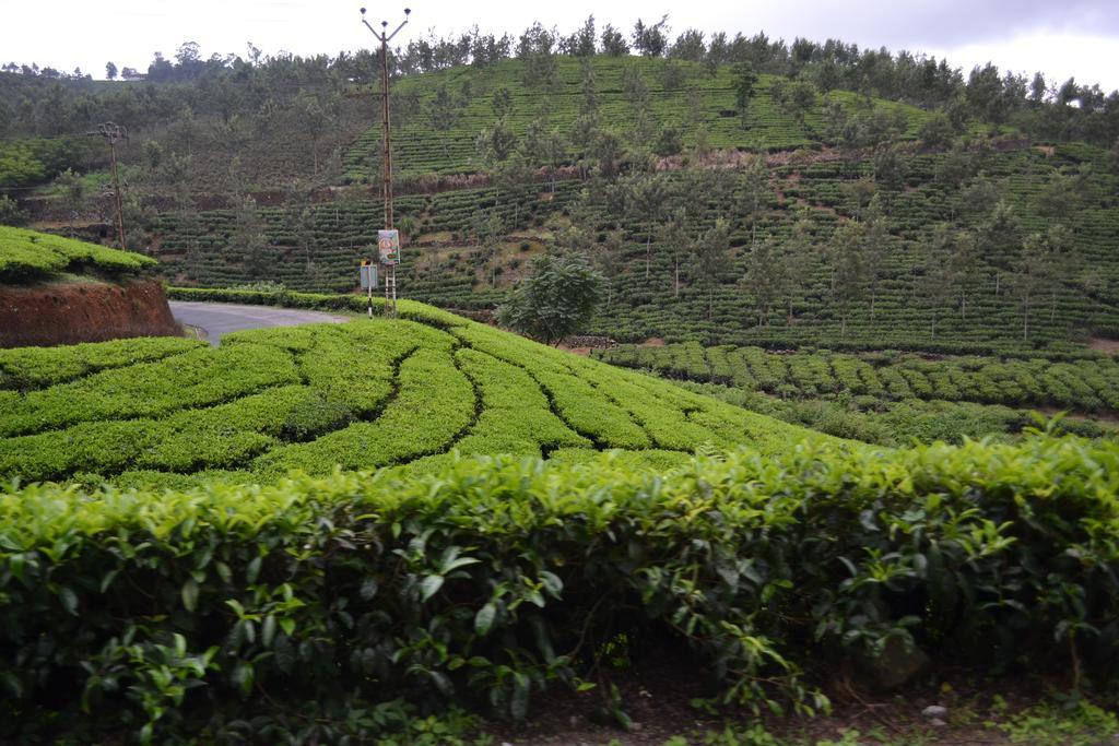 Ferndale Homestay Thekkady Exteriér fotografie
