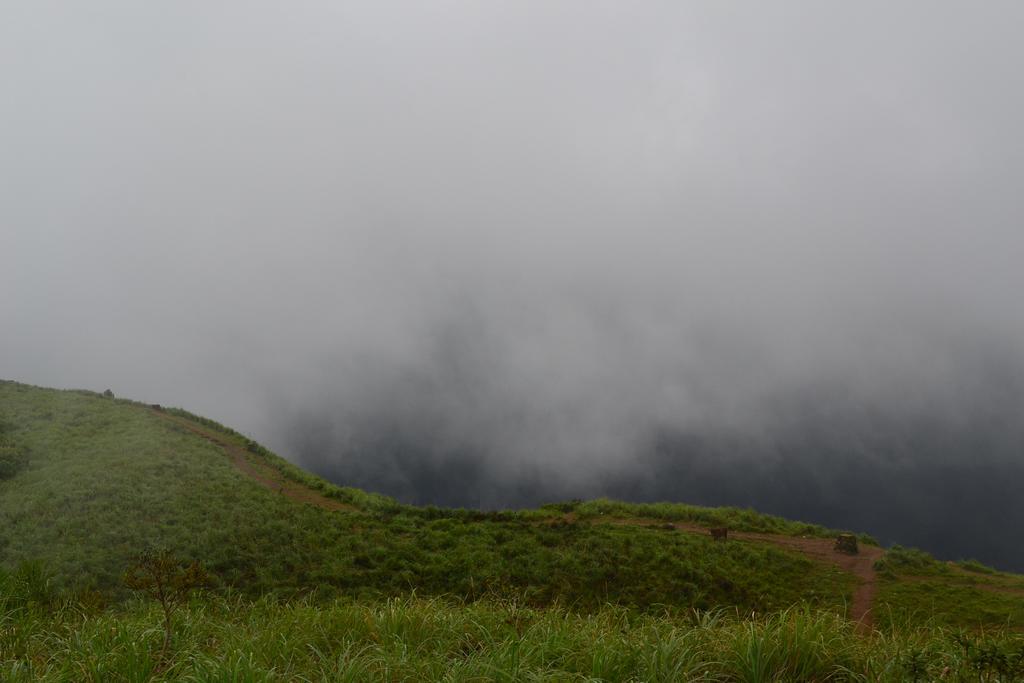 Ferndale Homestay Thekkady Exteriér fotografie