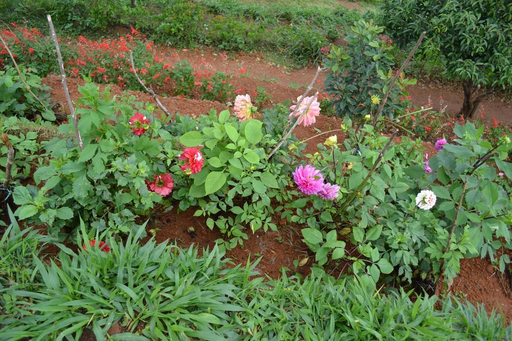 Ferndale Homestay Thekkady Exteriér fotografie
