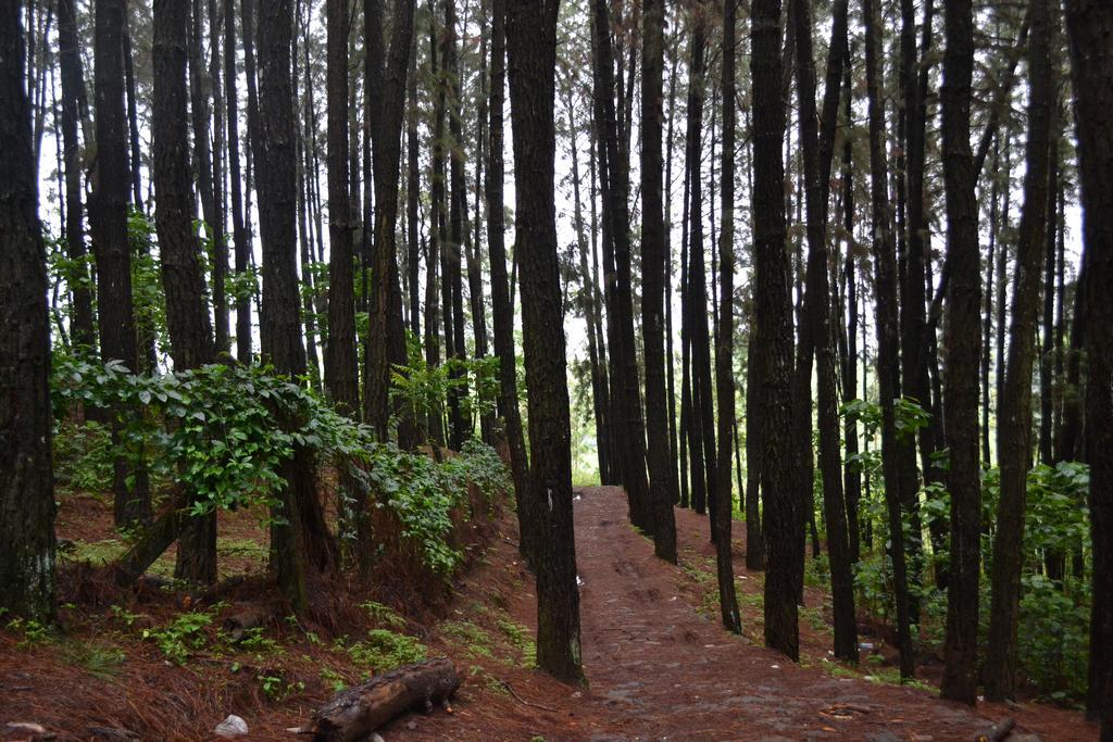 Ferndale Homestay Thekkady Exteriér fotografie