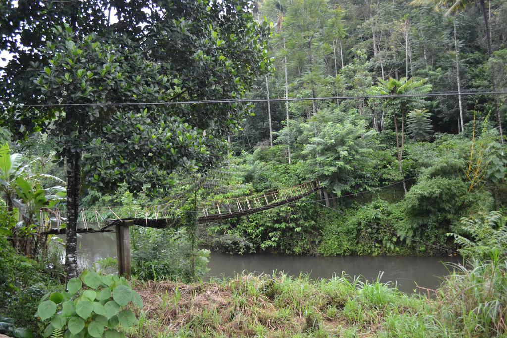 Ferndale Homestay Thekkady Exteriér fotografie