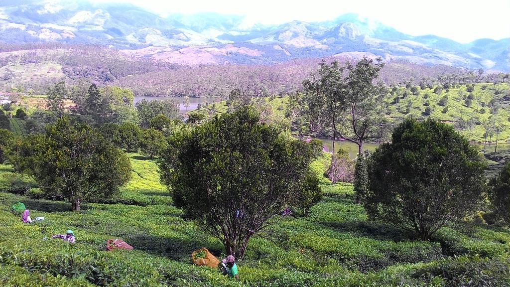 Ferndale Homestay Thekkady Exteriér fotografie