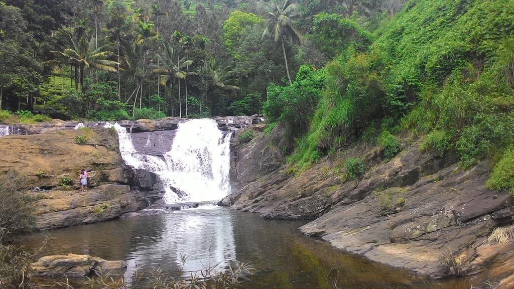 Ferndale Homestay Thekkady Exteriér fotografie