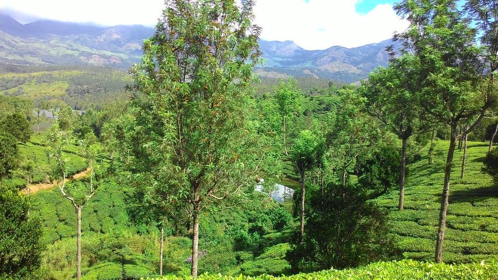 Ferndale Homestay Thekkady Exteriér fotografie
