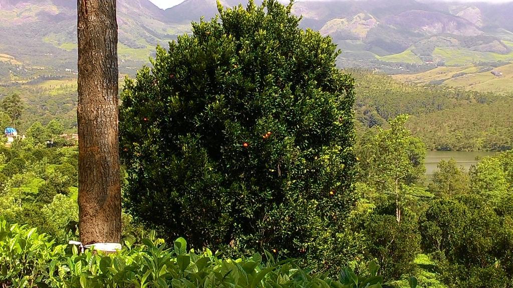 Ferndale Homestay Thekkady Exteriér fotografie