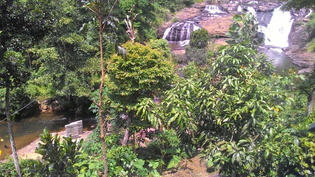 Ferndale Homestay Thekkady Exteriér fotografie