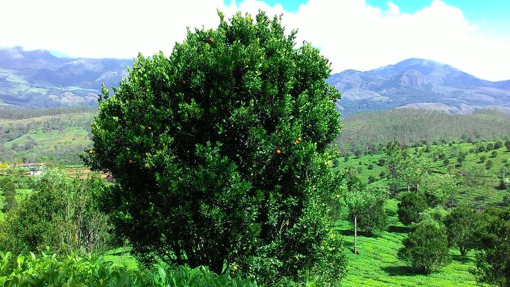 Ferndale Homestay Thekkady Exteriér fotografie