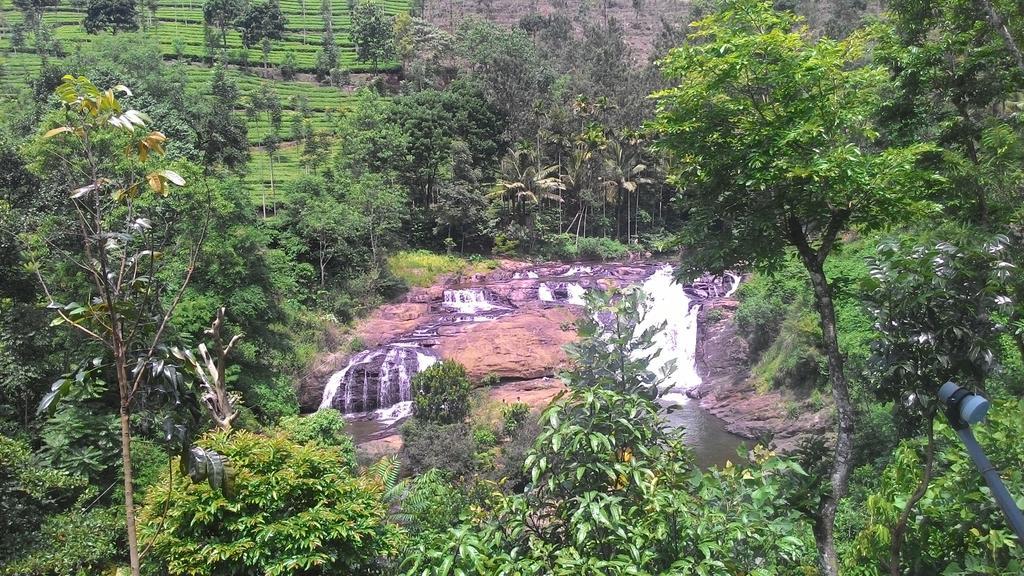 Ferndale Homestay Thekkady Exteriér fotografie